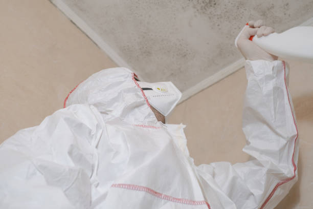 Best Residential Mold Removal  in Peridot, AZ